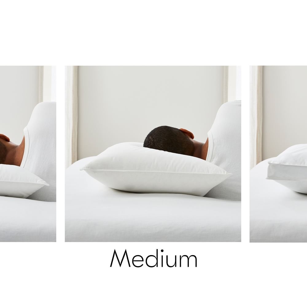 Standard size store pillow inserts