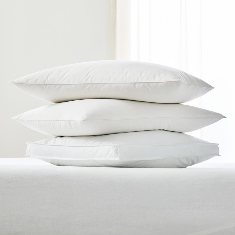 Standard clearance pillow insert