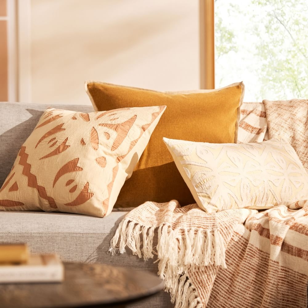 Cotton shop velvet pillows