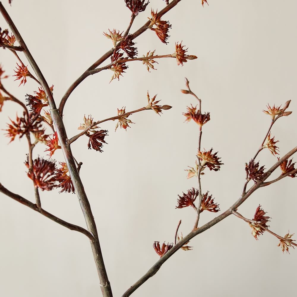 Buy online Faux Siberian Elm Branch now West Elm UAE UAE