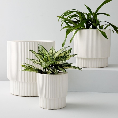 Plant pots cheap near me