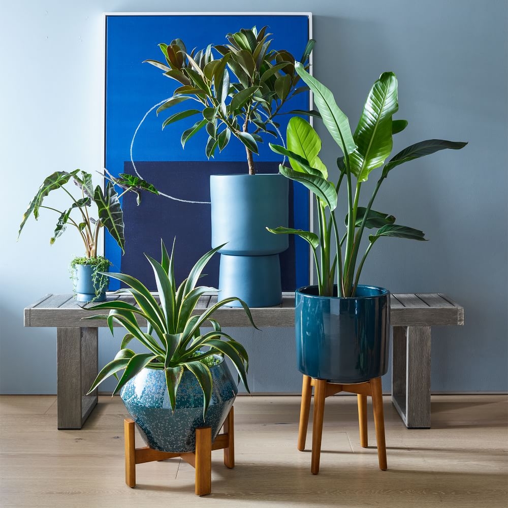 House outlet plant pots