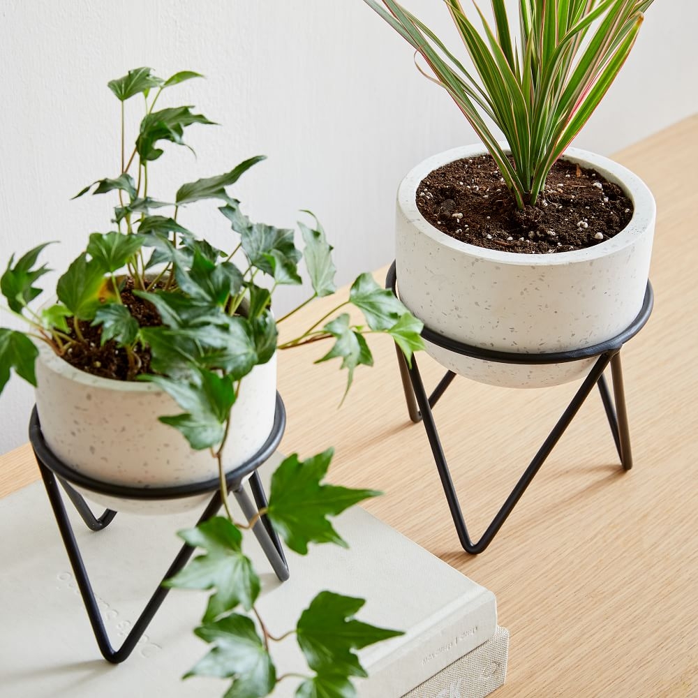 Table plant new arrivals pot
