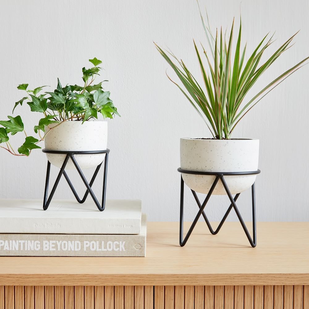 Buy online Iris Tabletop Planter now West Elm UAE UAE