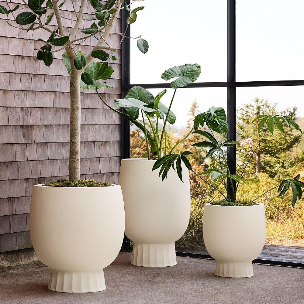 West store elm planters