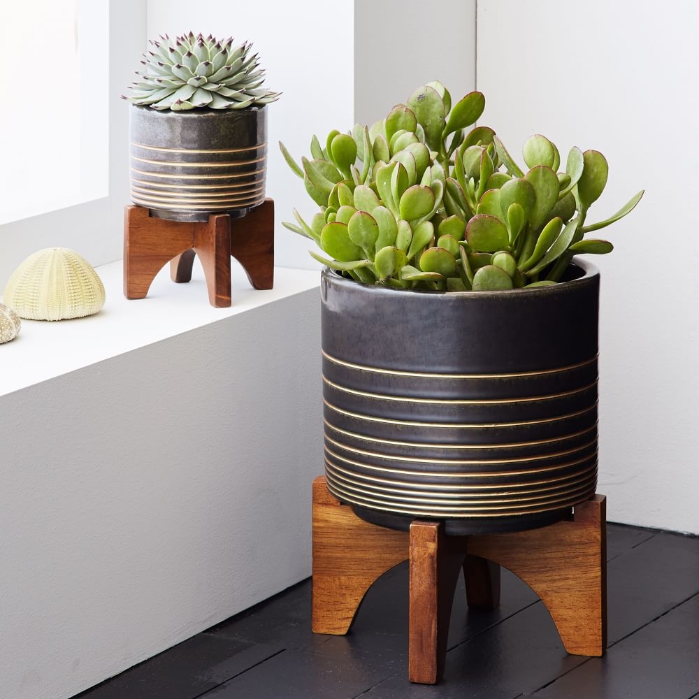 West elm deals planters