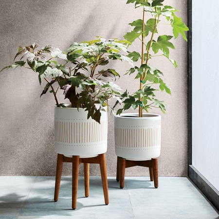 Indoor Planters Shop Indoor Planters Online in Dubai Abu dhabi