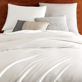 West elm euro shop pillow