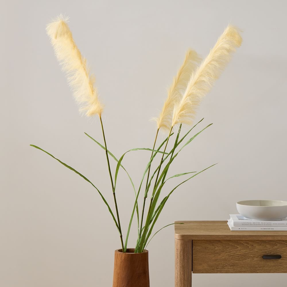 Pampas cheap grass stems