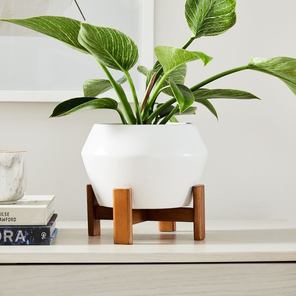 Ilya Turned Wood Tabletop Planters