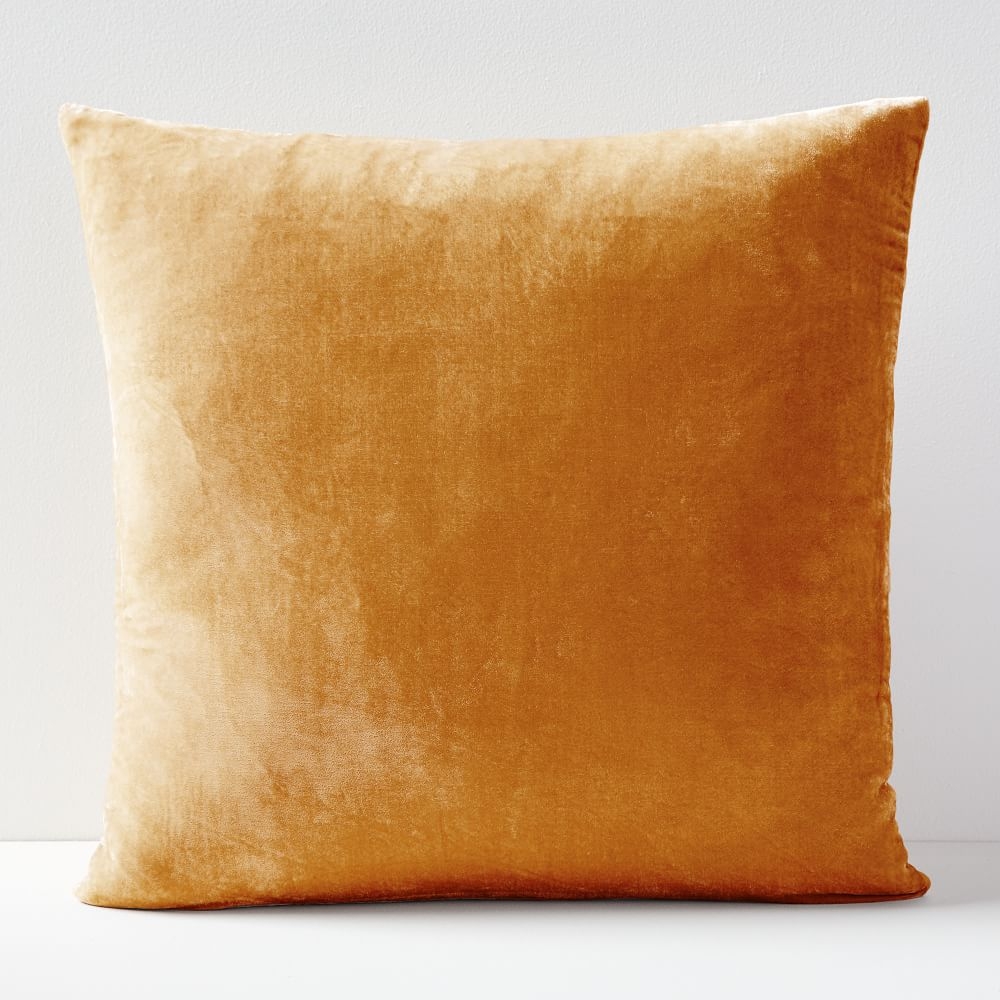 Buy online Lush Velvet Pillow Covers now West Elm UAE UAE